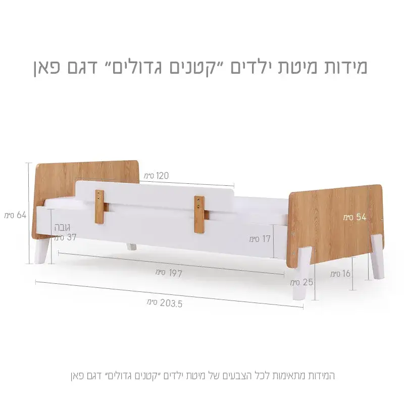 תמונת מוצר 6