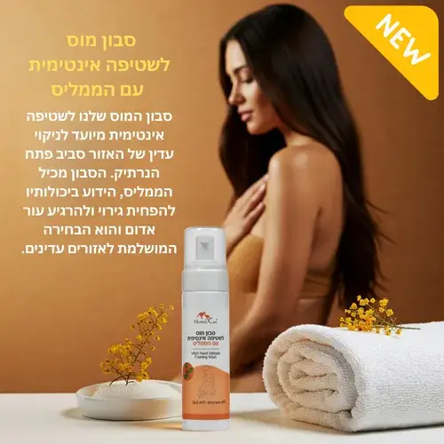 תמונה ממוזערת 2